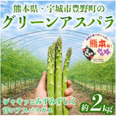 熊本 宇城市産 アスパラガス S～L 約2kg【日本フルーツ株式会社】(宇城市)