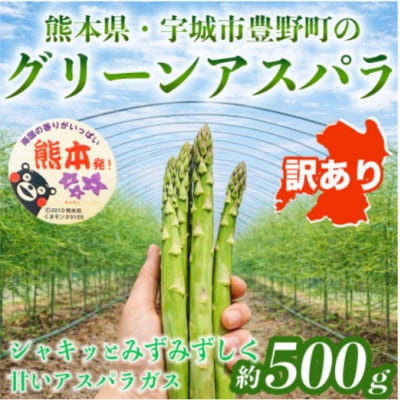 【訳あり】 熊本 宇城市産 アスパラガス S～L 約500g【日本フルーツ株式会社】(宇城市)
