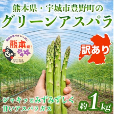【訳あり】 熊本 宇城市産 アスパラガス S～L 約1kg【日本フルーツ株式会社】(宇城市)