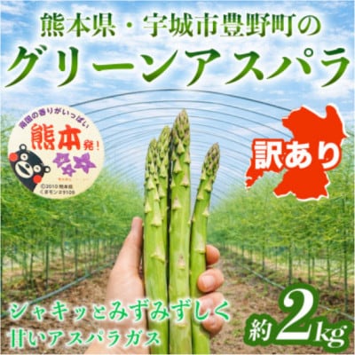 【訳あり】 熊本 宇城市産 アスパラガス S～L 約2kg【日本フルーツ株式会社】(宇城市)