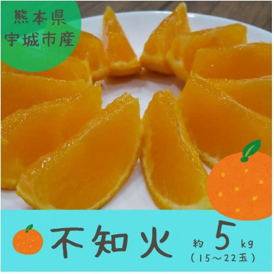 熊本県宇城市産　不知火 約5kg(15～22玉)【ひがし果樹園】