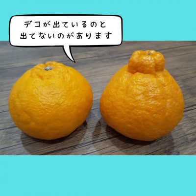 熊本県宇城市産　不知火 約5kg(15～22玉)【ひがし果樹園】