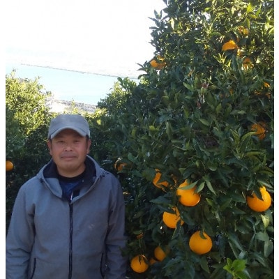 熊本県宇城市産　不知火 約5kg(15～22玉)【ひがし果樹園】