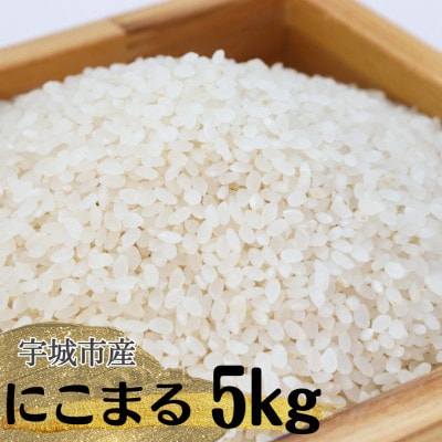 宇城市産　にこまる　(白米)　5kg