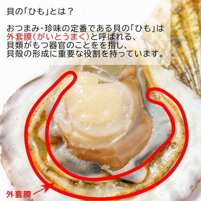 ほたて焼貝ひも 120g×5袋 オカベ|B298