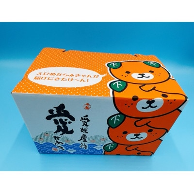 柑橘ゼリー詰合せセット(紅まどんな、みかん、伊予柑)