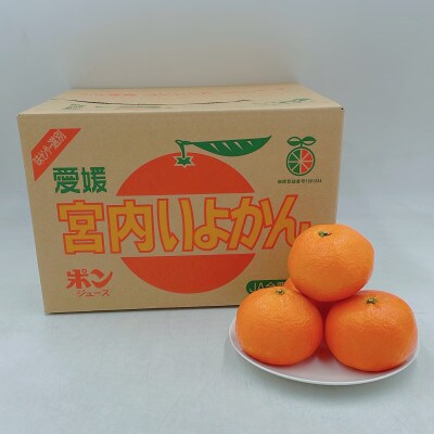 伊予柑　10kg 　L～2Lサイズ