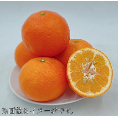 伊予柑　10kg 　L～2Lサイズ