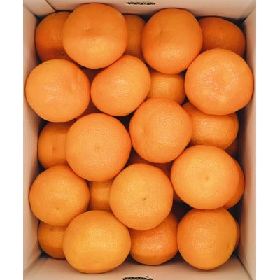伊予柑　10kg 　L～2Lサイズ