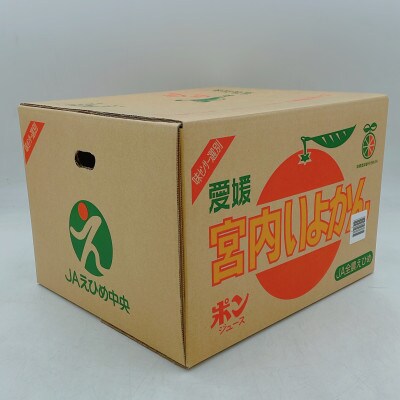 伊予柑　10kg 　L～2Lサイズ