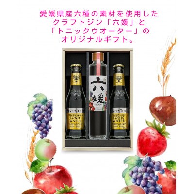 道後ジン　六媛・トニックセット(G6-200)