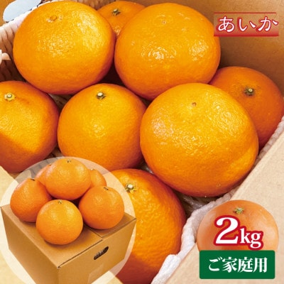 あいか 愛媛果試28号 紅まどんな同品種 愛媛産 ご家庭用 2kg S～4L玉 大きさおまかせ