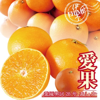 あいか 愛媛果試28号 紅まどんな同品種 愛媛産 ご家庭用 2kg S～4L玉 大きさおまかせ