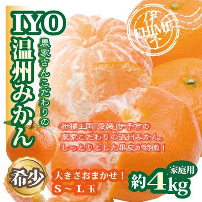 愛媛産 伊予の農家さんこだわり温州みかん 約4kg S～Lサイズ 大きさおまかせ