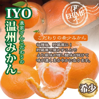 愛媛産 伊予の農家さんこだわり温州みかん 約4kg S～Lサイズ 大きさおまかせ