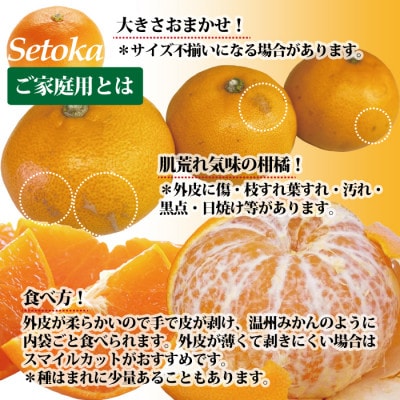 せとか みかん 訳あり 愛媛産 約2kg ご家庭用 大きさおまかせ
