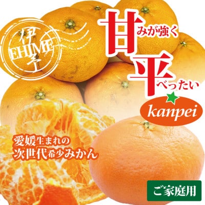 みかん 甘平 愛媛県産 訳あり ご家庭用 約2kg 2L〜4L玉 サイズ不揃い