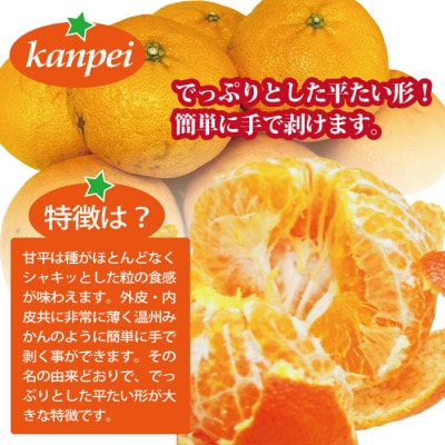 みかん 甘平 愛媛県産 訳あり ご家庭用 約2kg 2L〜4L玉 サイズ不揃い