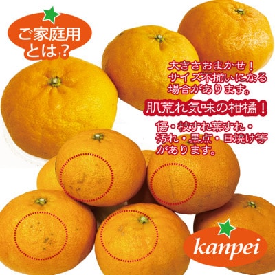 みかん 甘平 愛媛県産 訳あり ご家庭用 約2kg 2L〜4L玉 サイズ不揃い