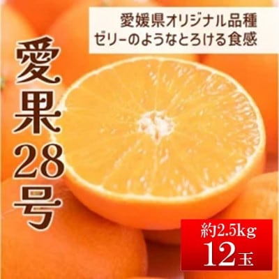 【先行予約 12月以降順次発送予定】数量限定 愛果28号 約2.5kg(12玉入り)