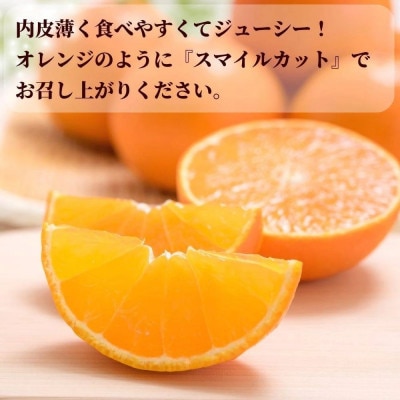 【先行予約 12月以降順次発送予定】数量限定 愛果28号 約2.5kg(12玉入り)