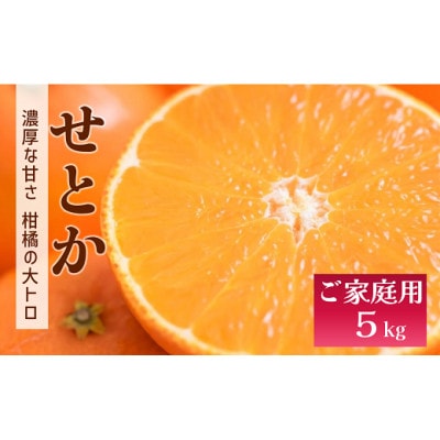 【先行予約 2月発送予定】数量限定 家庭用 せとか 約5kg|C55