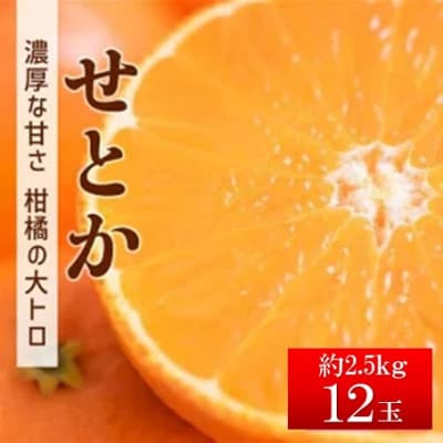 【先行予約 2月発送予定】数量限定 せとか 約2.5kg(12玉入)|C130
