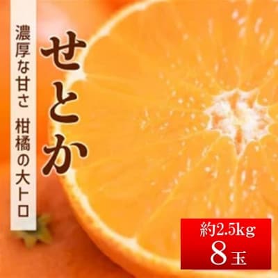 【先行予約 2月発送予定】数量限定 せとか 約2.5kg(8玉入)
