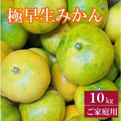 【先行予約 10月より順次発送】数量限定 家庭用 極早生みかん 約10kg|B254