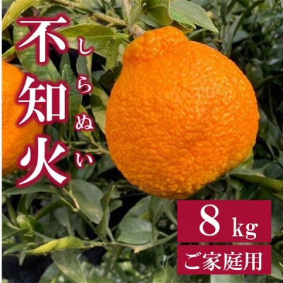 【先行予約 3月発送】数量限定 家庭用 不知火(しらぬい) 約8kg|B257
