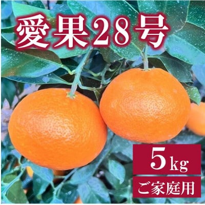 【先行予約 12月発送】数量限定 家庭用 愛果28号 約5kg| B256