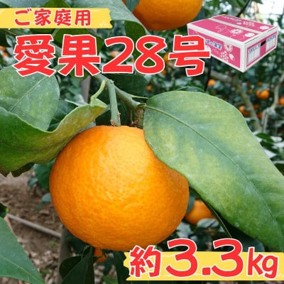 【先行予約】【12月より発送予定】数量限定　訳あり家庭用 愛果28号 約3.3kg×1箱|B456