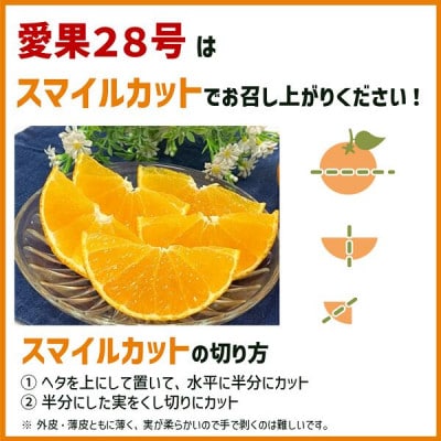【先行予約】【12月より発送予定】数量限定　訳あり家庭用 愛果28号 約3.3kg×1箱|B456