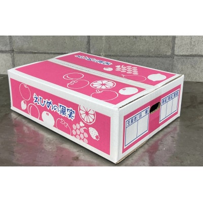 【先行予約】【12月より発送予定】数量限定　訳あり家庭用 愛果28号 約3.3kg×1箱|B456