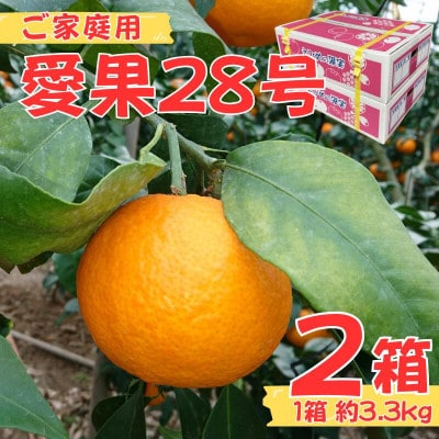 【先行予約】【12月より発送予定】数量限定　訳あり家庭用 愛果28号 約3.3kg×2箱