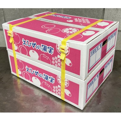 【先行予約】【12月より発送予定】数量限定　訳あり家庭用 愛果28号 約3.3kg×2箱