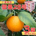 【先行予約】【12月より発送】数量限定　訳あり家庭用 愛果28号 約10kg(約3.3kg×3箱)