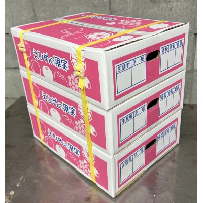 【先行予約】【12月より発送】数量限定　訳あり家庭用 愛果28号 約10kg(約3.3kg×3箱)