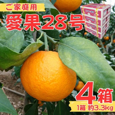 【先行予約】【12月より発送】数量限定　訳あり家庭用 愛果28号 約13kg(約3.3kg×4箱)