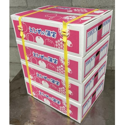 【先行予約】【12月より発送】数量限定　訳あり家庭用 愛果28号 約13kg(約3.3kg×4箱)