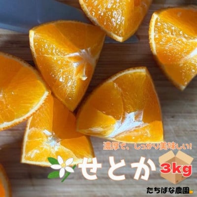 愛媛みかん【高級柑橘】【数量限定】せとか3kg