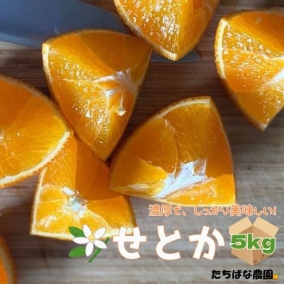 愛媛みかん【高級柑橘】【数量限定】せとか5kg