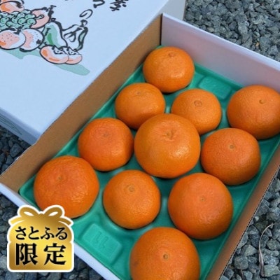 【さとふる限定】愛媛みかん【高級柑橘】【数量限定】【贈答用】あいか3kg