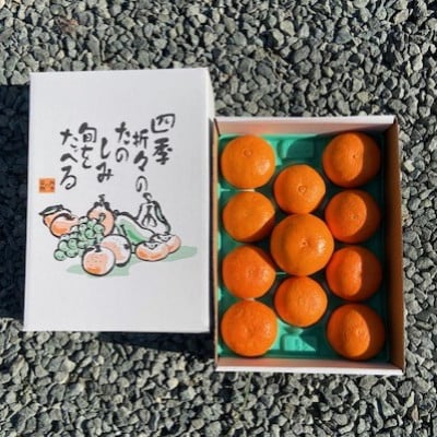 【さとふる限定】愛媛みかん【高級柑橘】【数量限定】【贈答用】あいか3kg