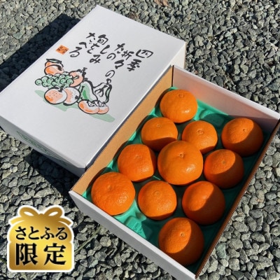【さとふる限定】愛媛みかん【高級柑橘】【数量限定】【贈答用】せとか3kg11個