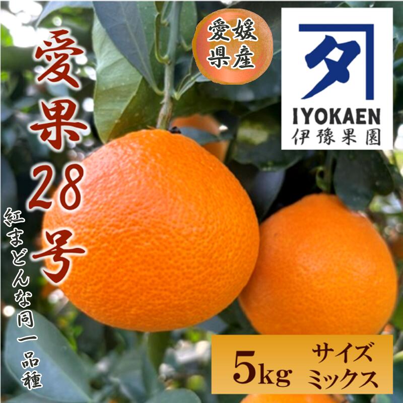 愛果28号 サイズミックス 約5kg ご家庭用 伊豫果園で人気の柑橘 愛媛県伊予市産|C107