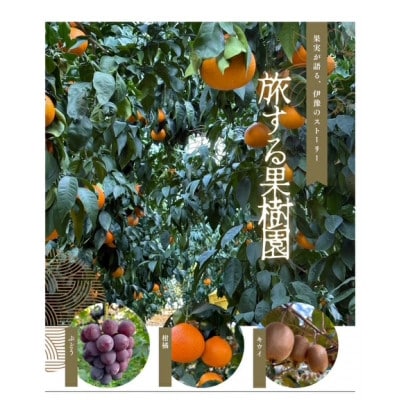 はるか サイズミックス 約5kg ご家庭用 伊豫果園で人気の柑橘 愛媛県伊予市 | B386