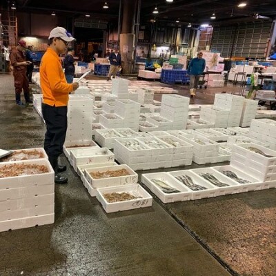 【吉井鮮魚】アジフライ 個包装 24枚入り |C103