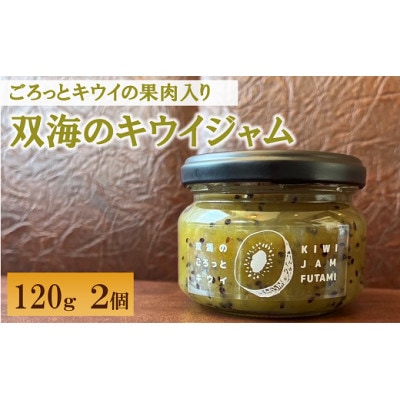 キウイ ふたみのキウイジャム 120g×2個 愛媛県産 手作り