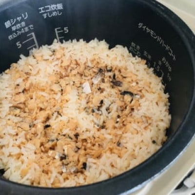 炊き込みご飯の素 はもごはんの素(2合炊き用・110g)×1パック